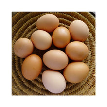 Load image into Gallery viewer, FRESH EGGS FREE RANGE 12PK
